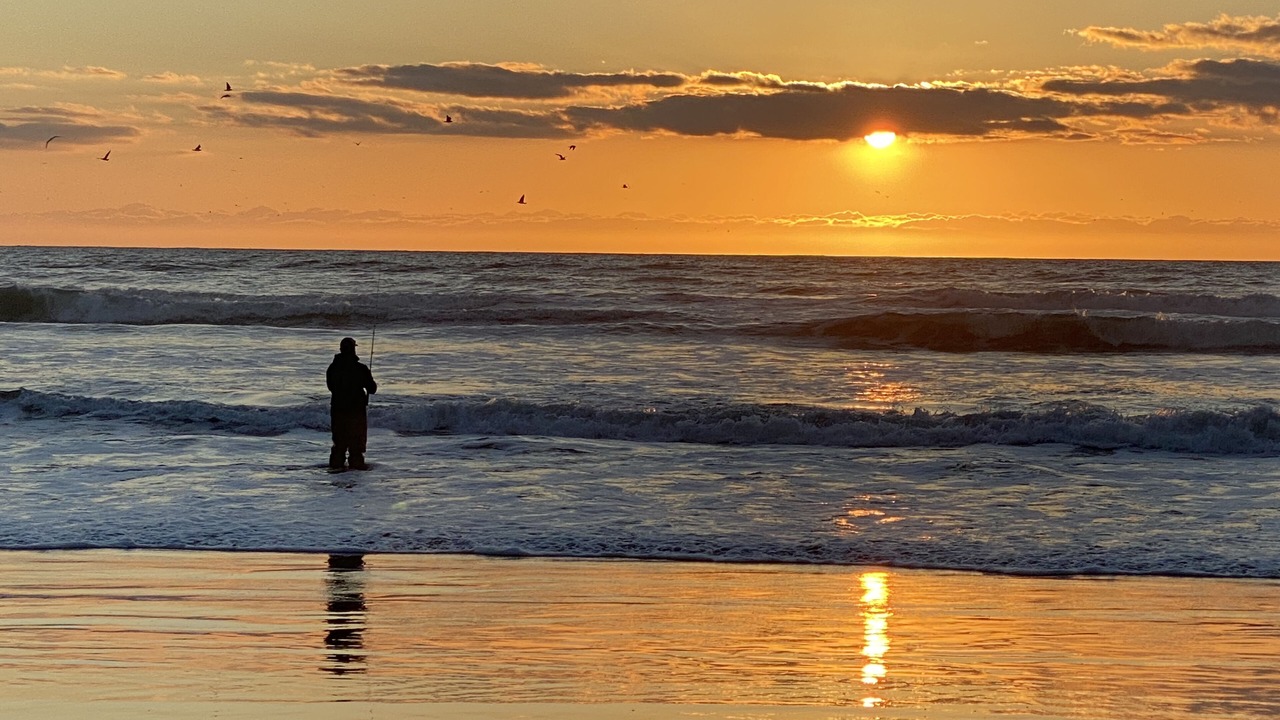 Photo of Others in Watsonville