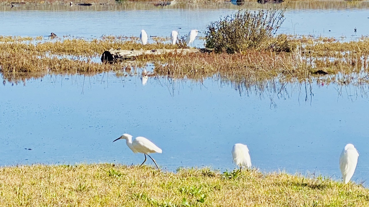 Photo of Outdoor in Watsonville