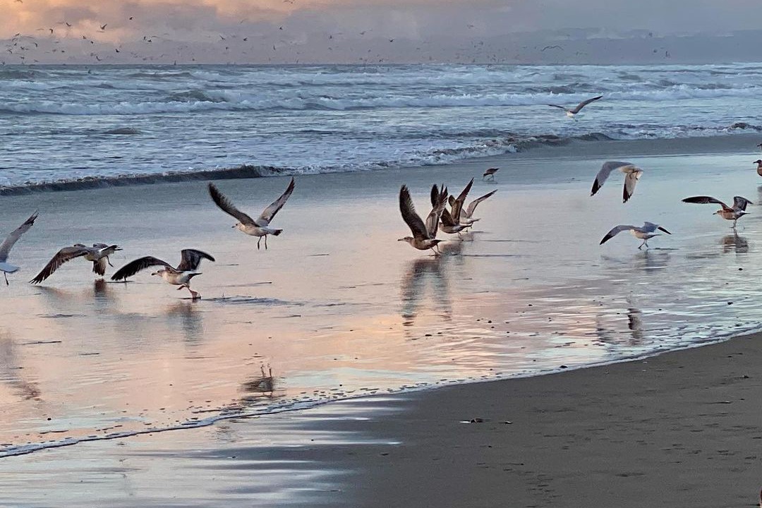Photo of Others in Watsonville