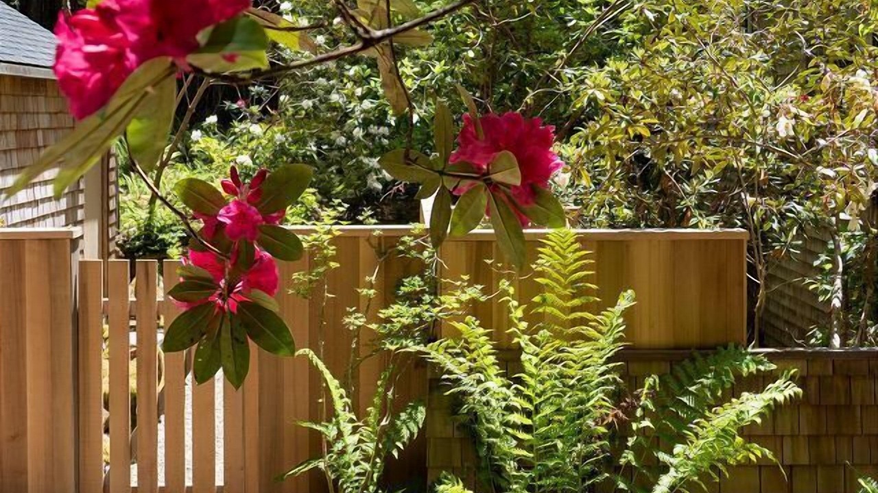 Photo of Outdoor in Sea Ranch
