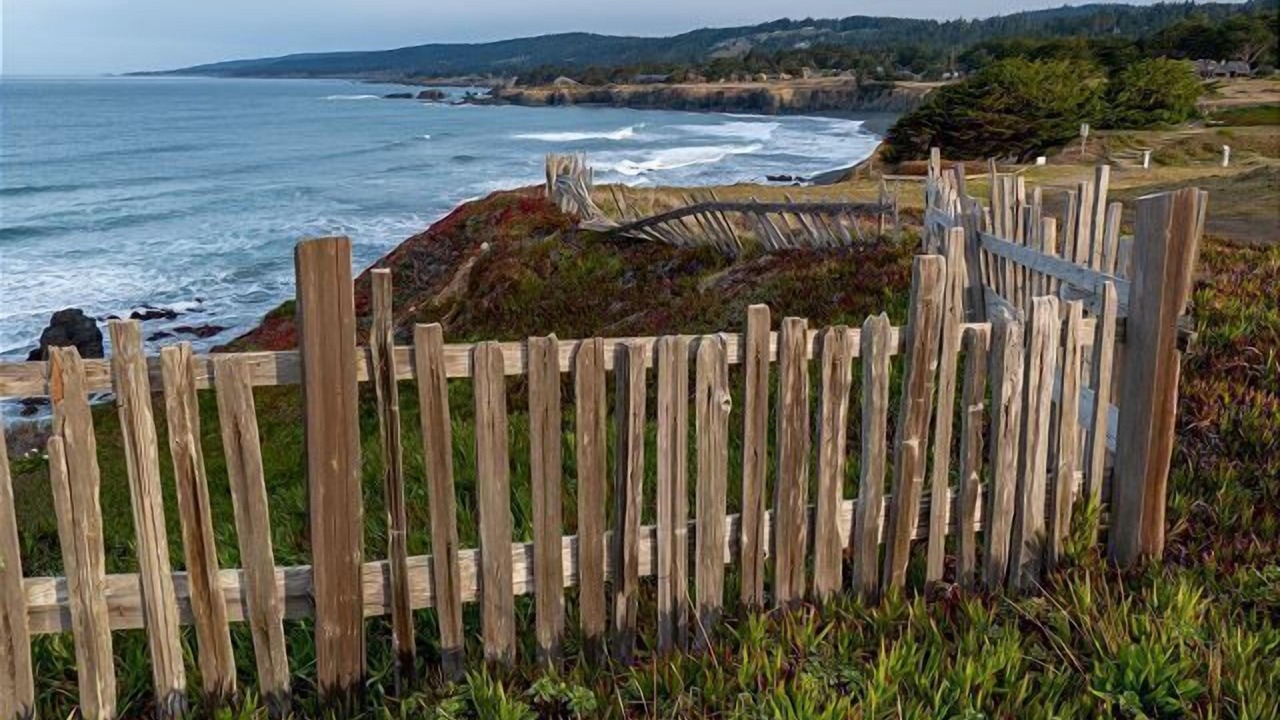 Photo of Others in Sea Ranch