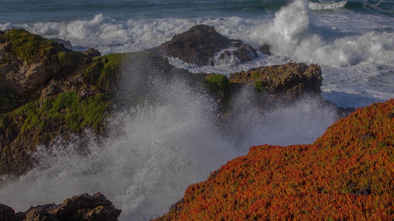 Photo of Outdoor in Sea Ranch