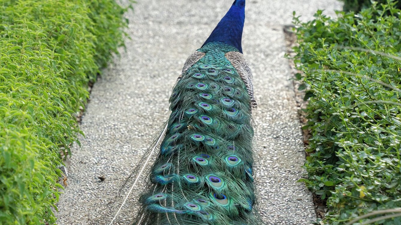 Photo of Others in San Luis Obispo