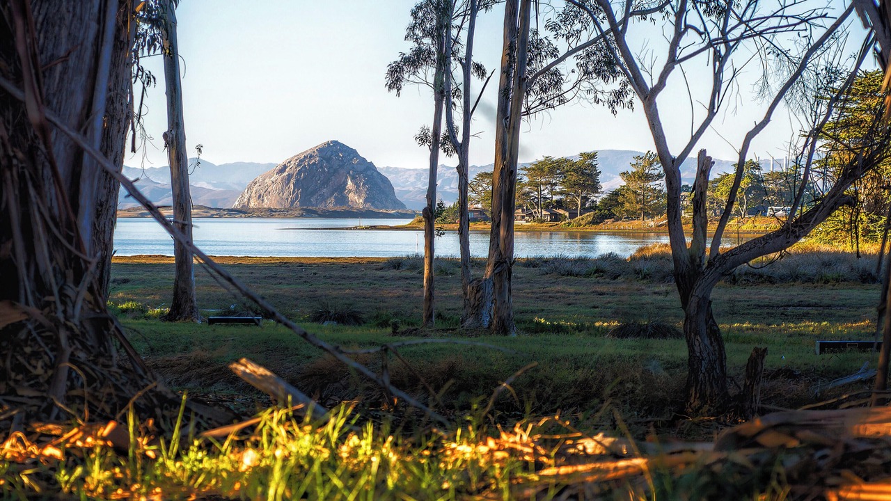 Photo of Outdoor in Baywood Park