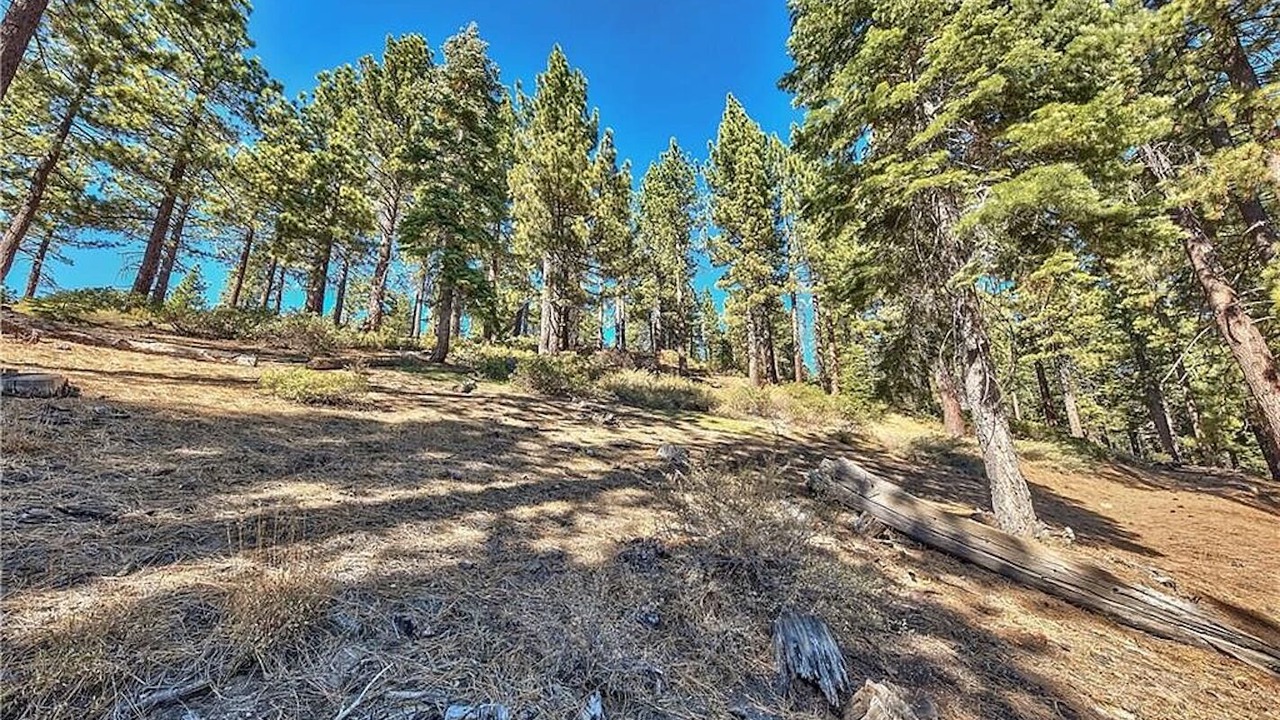 Photo of Others in Incline Village