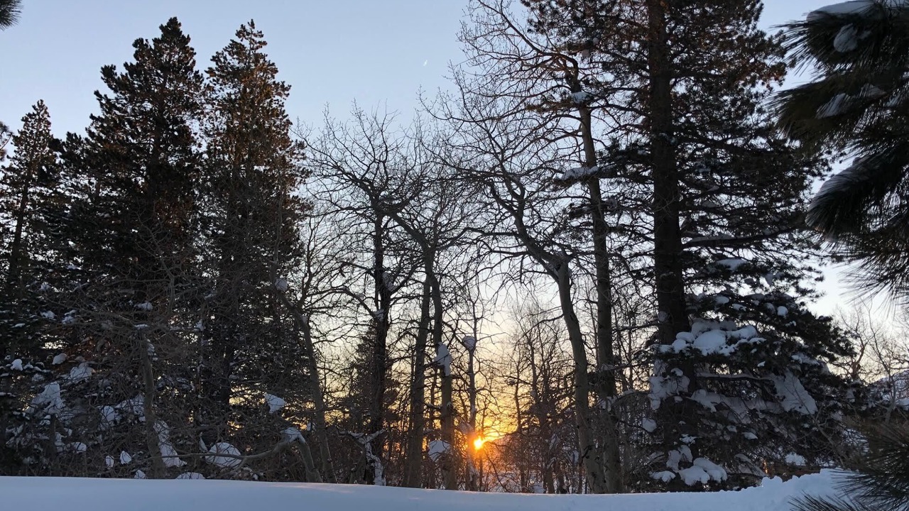 Photo of Others in Mammoth Lakes