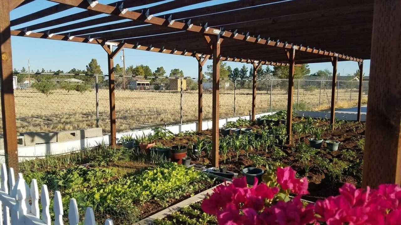 Photo of Outdoor in Pahrump