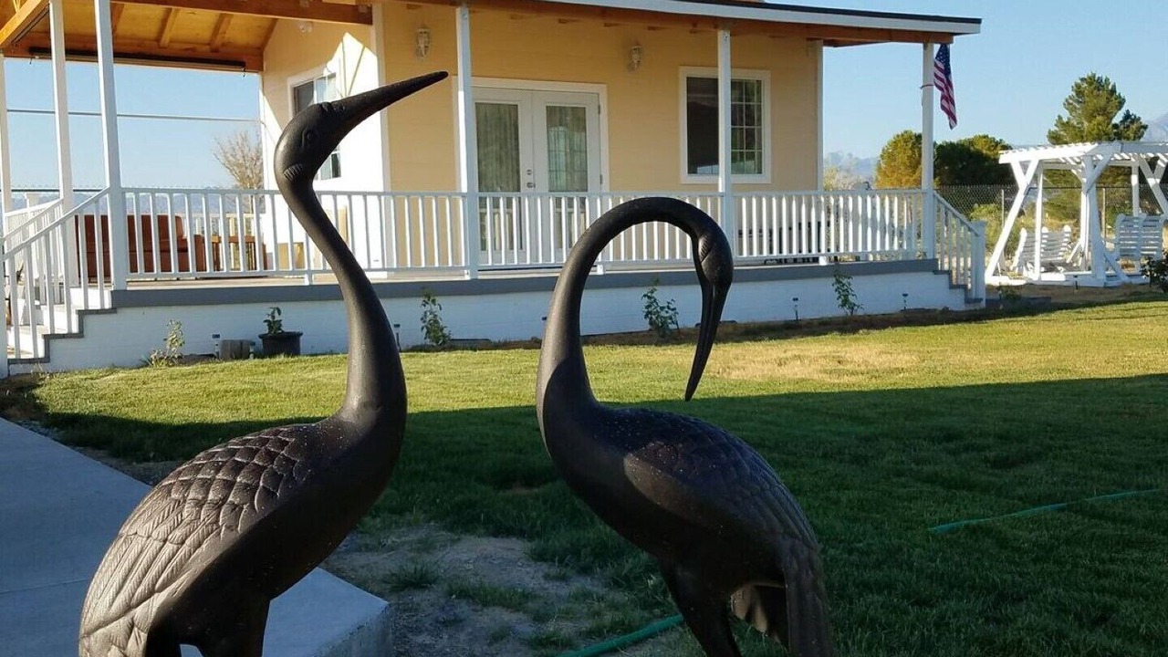 Photo of Outdoor in Pahrump