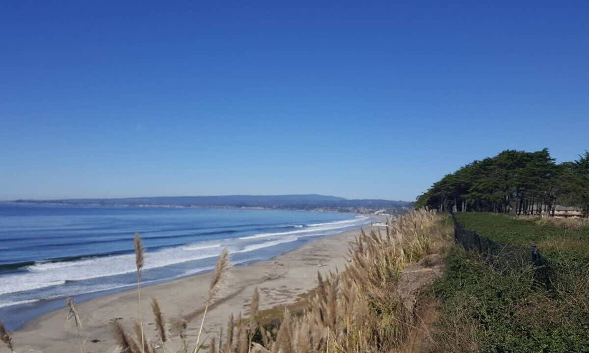 Photo of Others in Rio del Mar