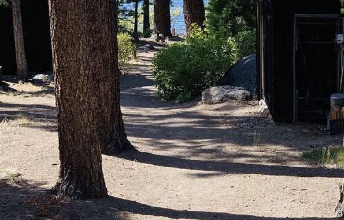Photo of Others in Lincoln Park