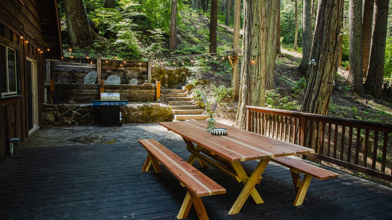 Photo of Others in Sugar Pine