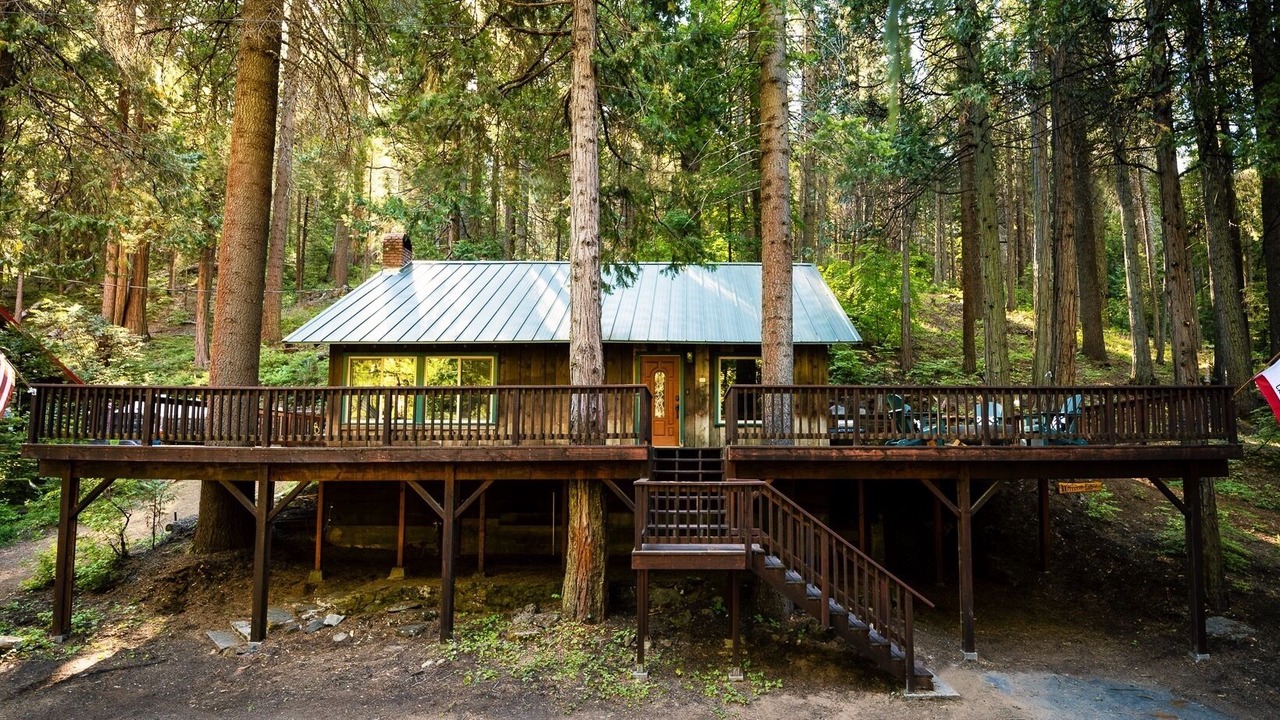 Photo of Others in Sugar Pine
