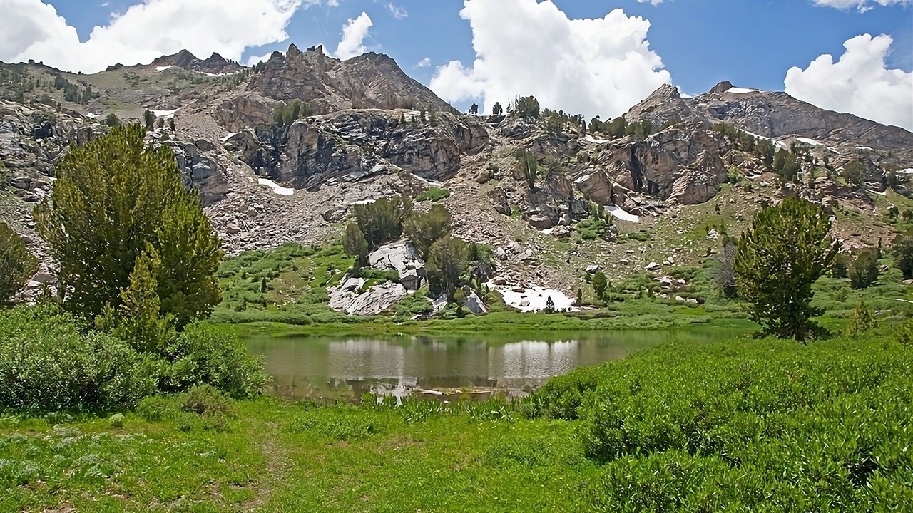Photo of Others in Elko