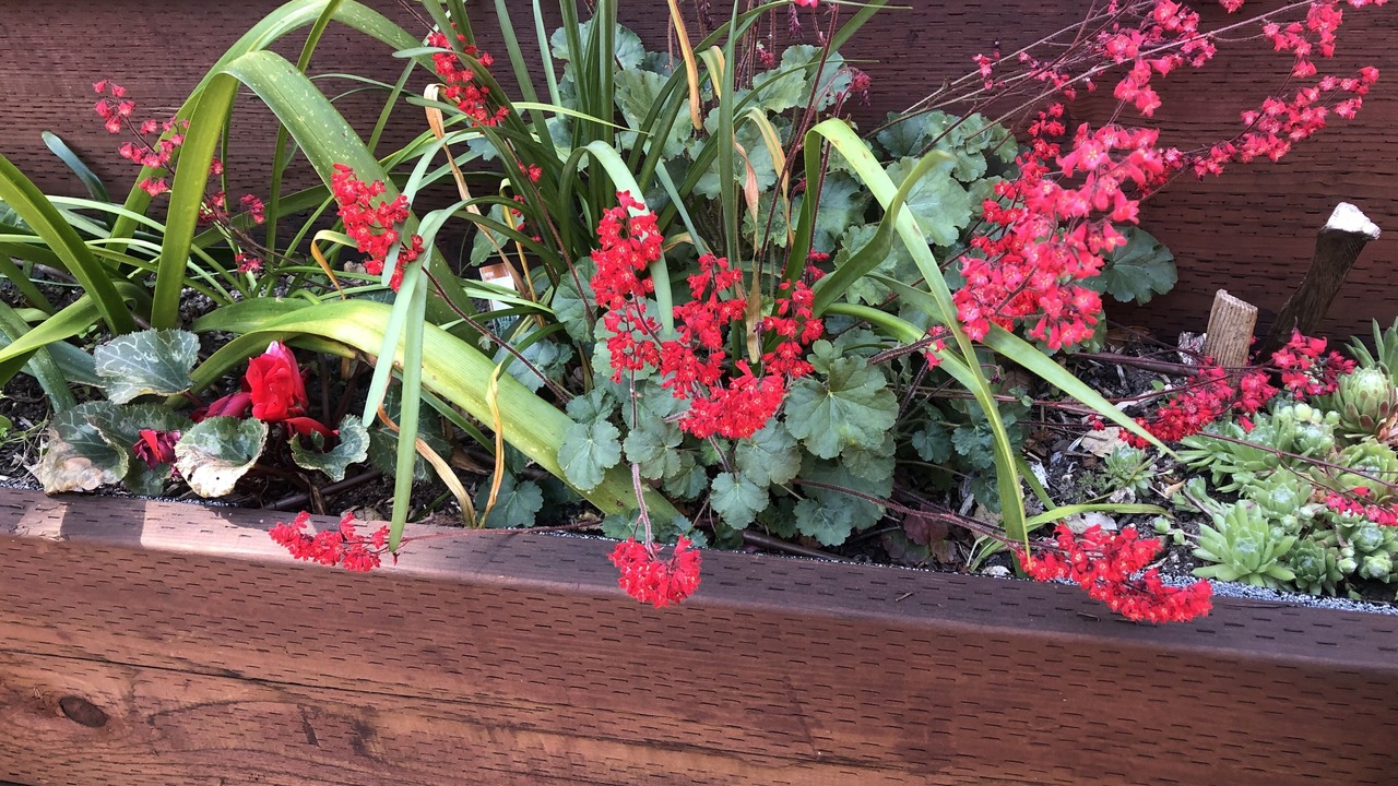 Photo of Outdoor in Carmel Valley