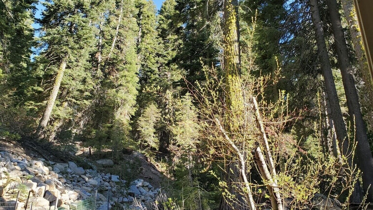 Photo of Others in Truckee