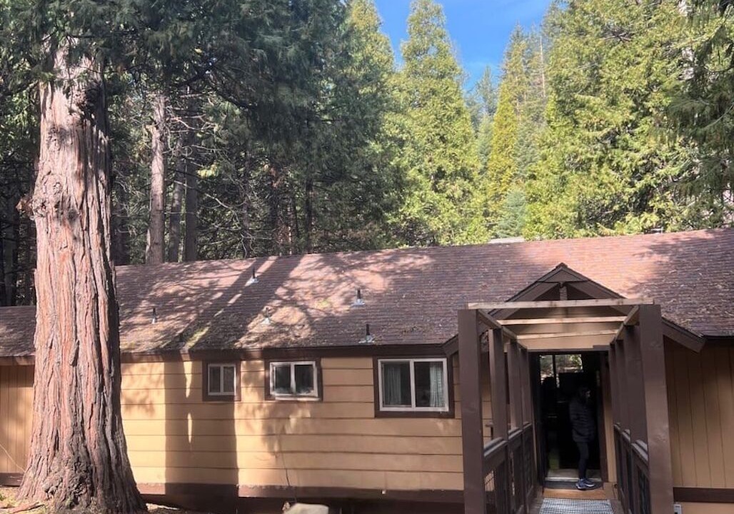 Photo of Outdoor in Fish Camp