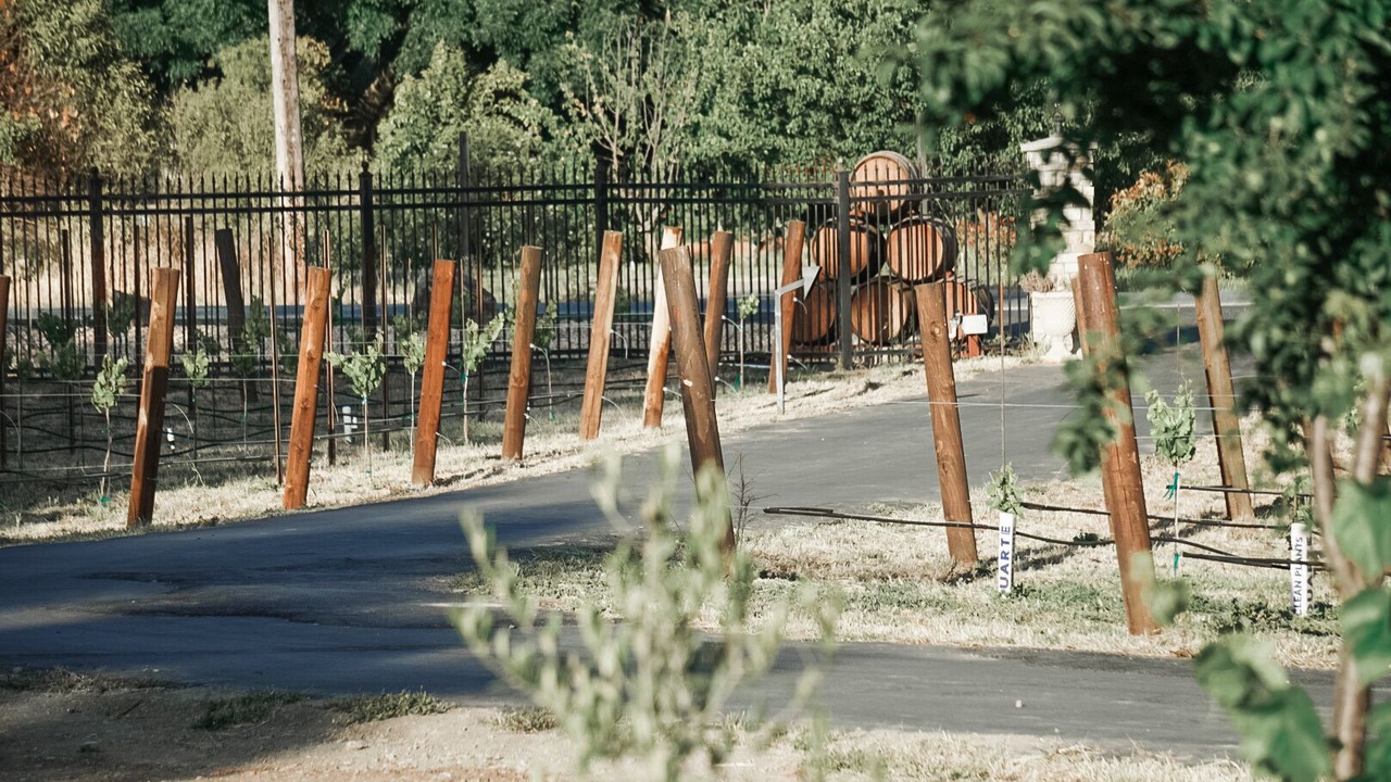 Photo of Others in San Martin
