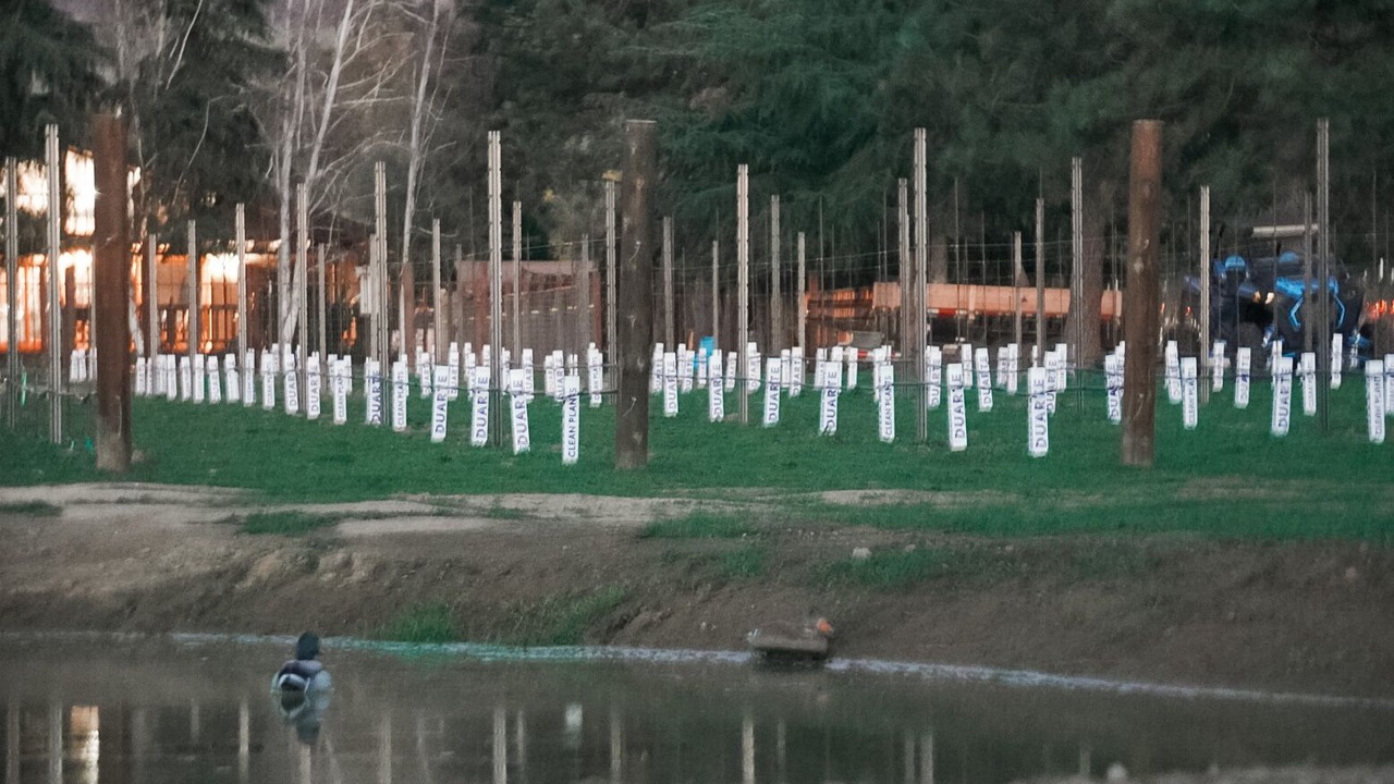 Photo of Others in San Martin