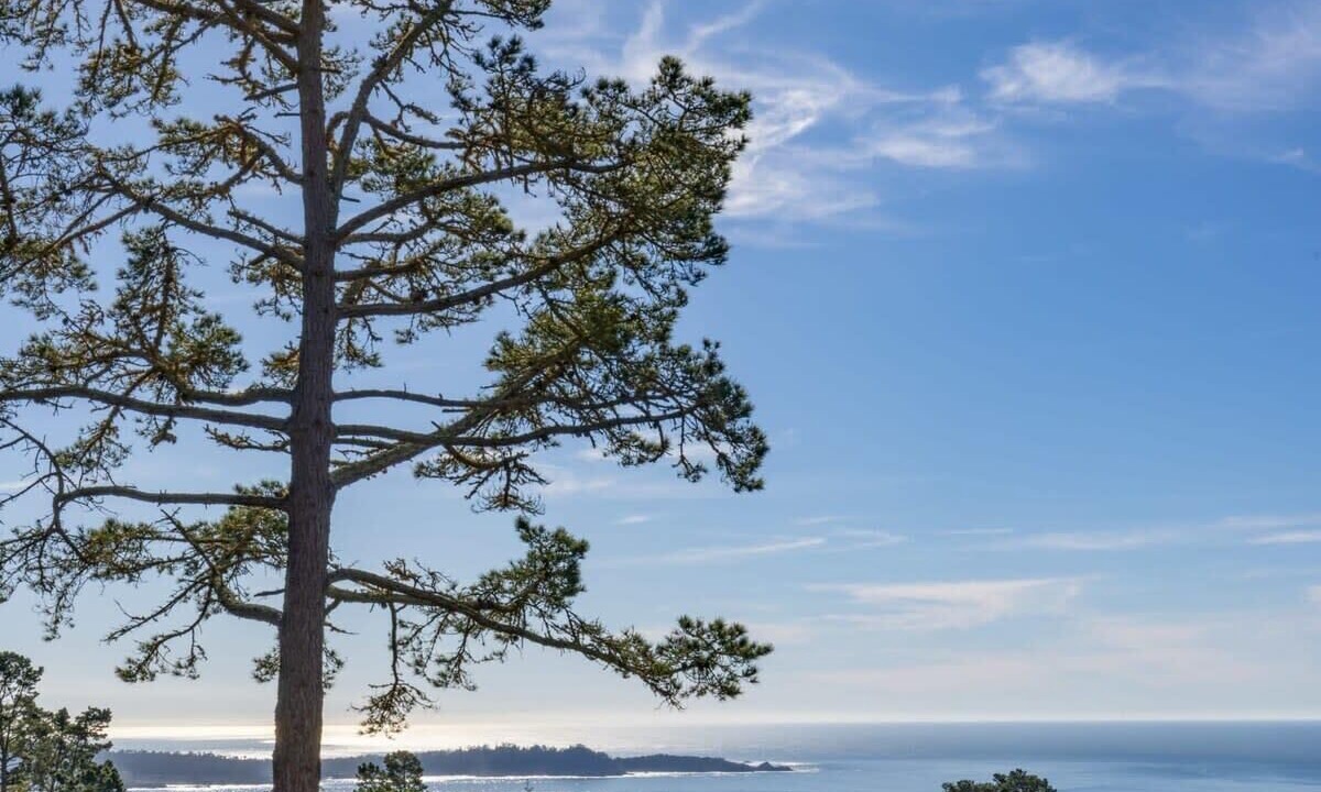Photo of Outdoor in Carmel Woods