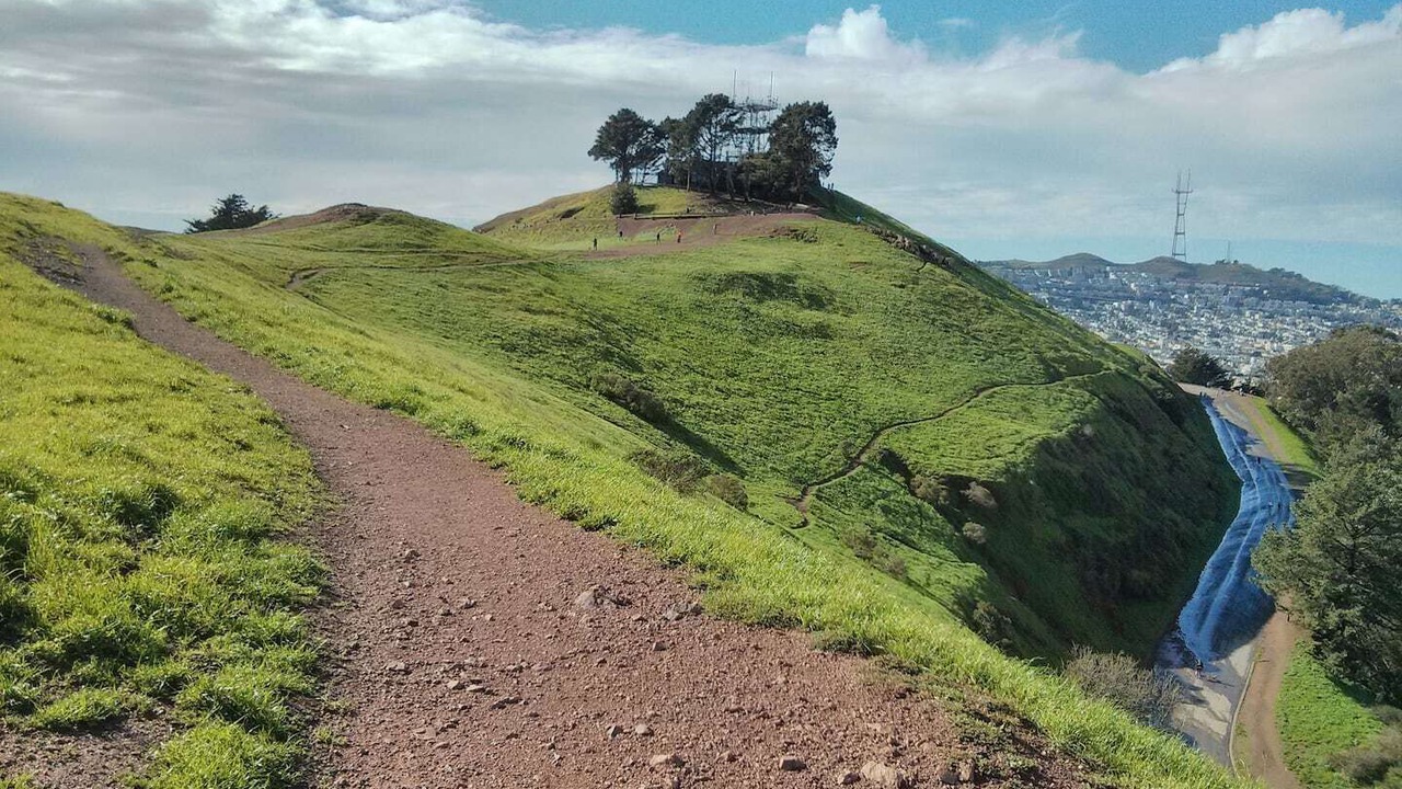 Photo of Others in Bernal Heights