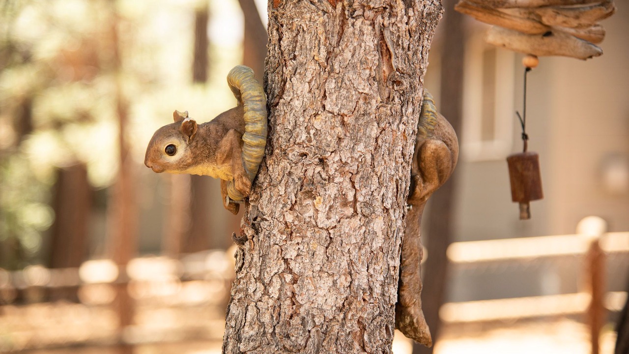 Photo of Others in Big Bear Lake