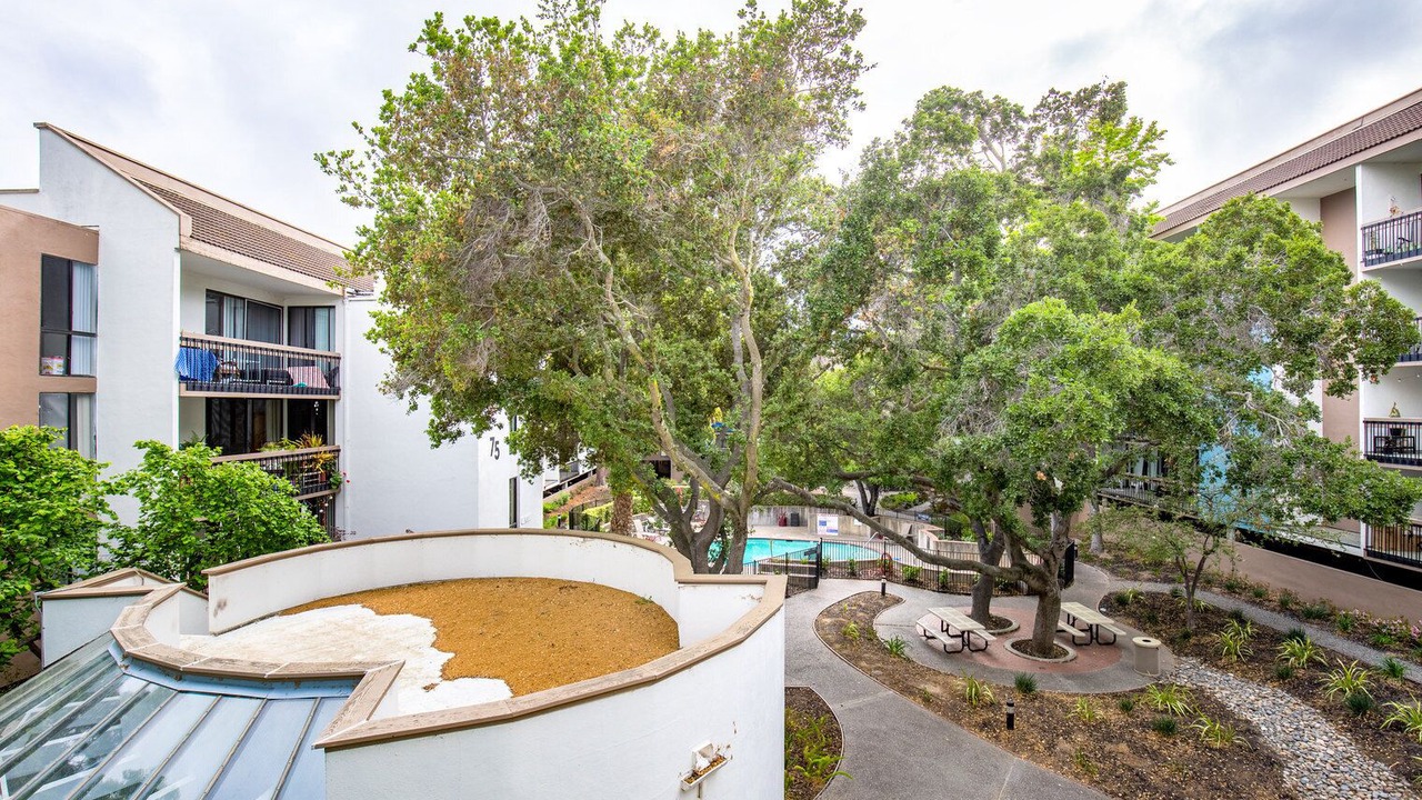 Photo of Outdoor in Central San Mateo