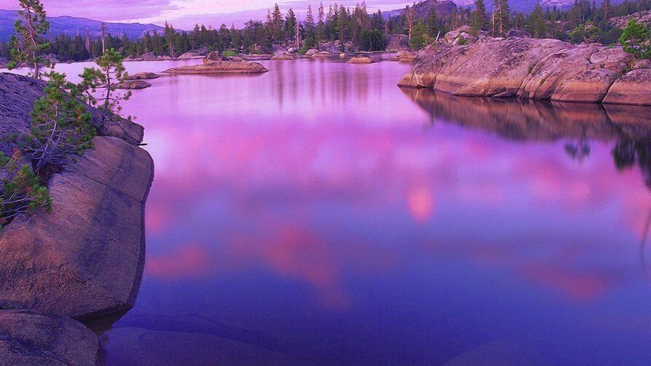 Photo of Others in Bear Valley