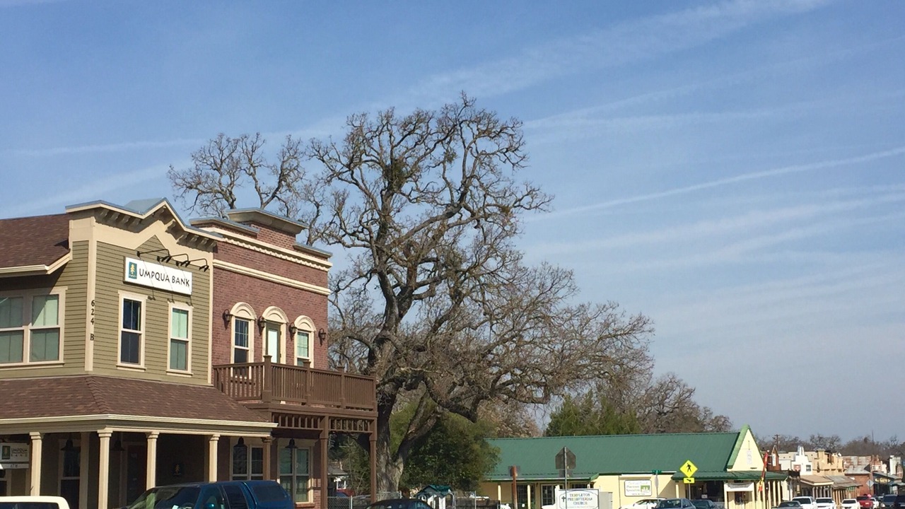 Photo of Outdoor in Templeton