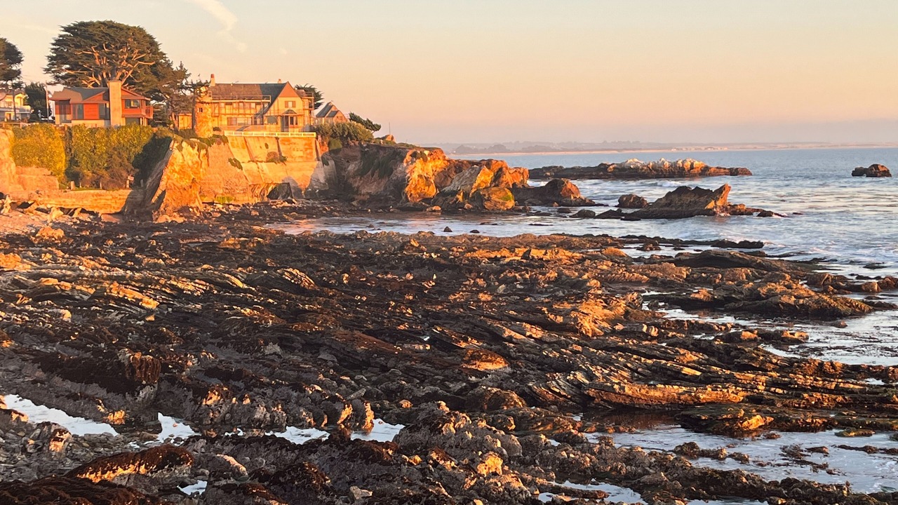 Photo of Others in Shell Beach