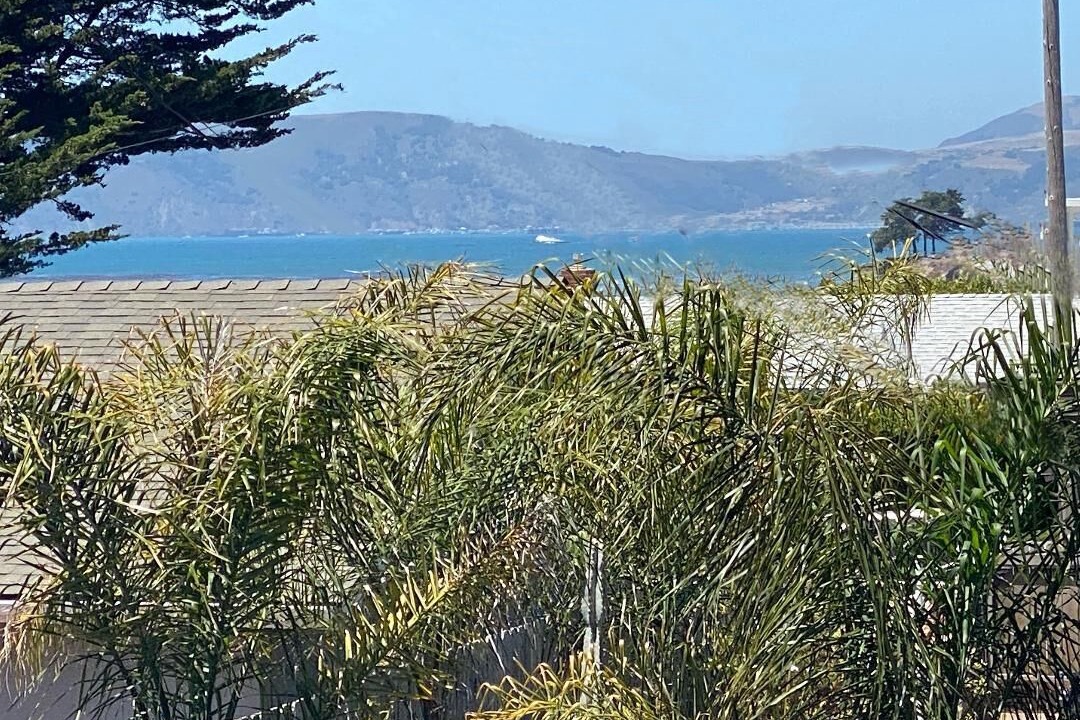 Photo of Others in Shell Beach