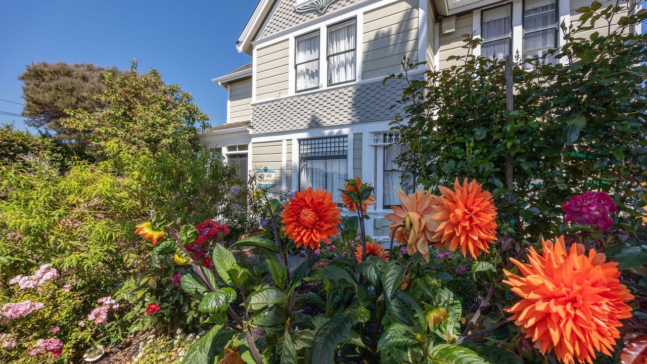 Photo of Outdoor in Half Moon Bay