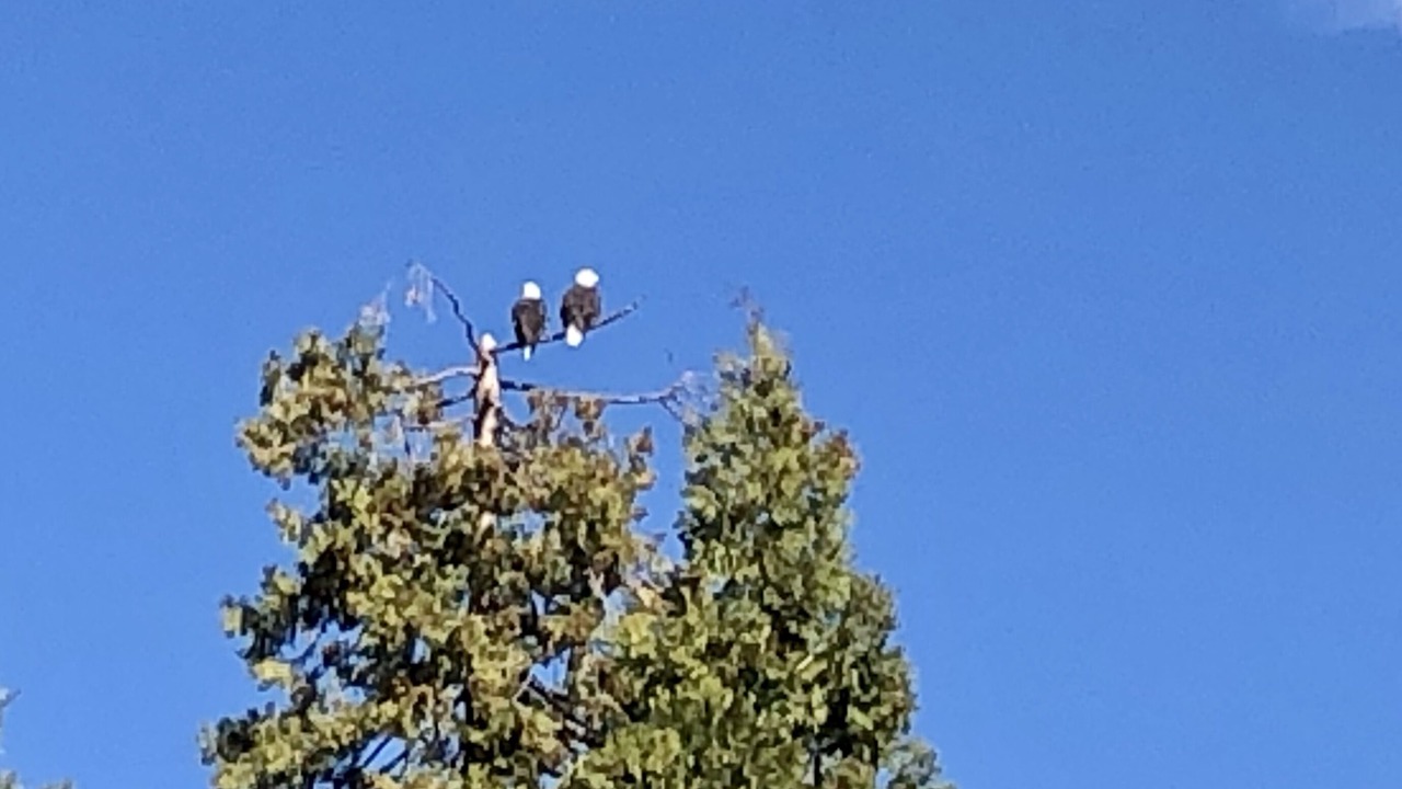 Photo of Outdoor in Yosemite Forks