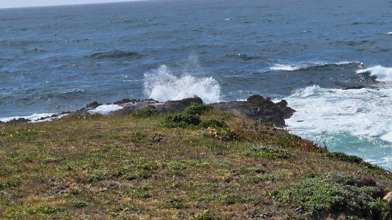 Photo of Others in Fort Bragg