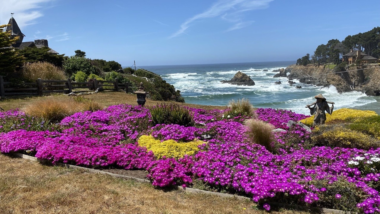 Photo of Outdoor in Fort Bragg