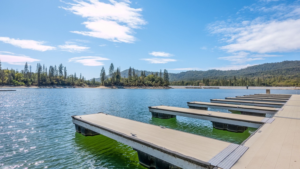 Photo of Others in Bass Lake