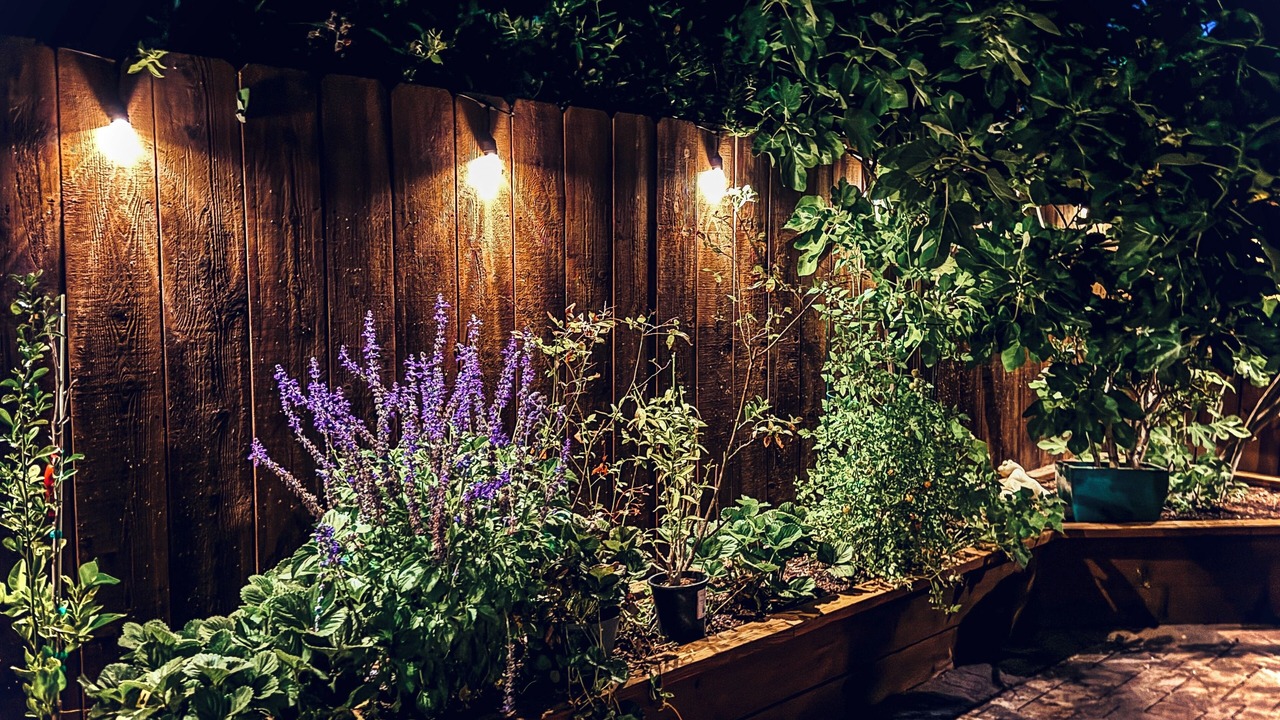 Photo of Outdoor in Woodacre