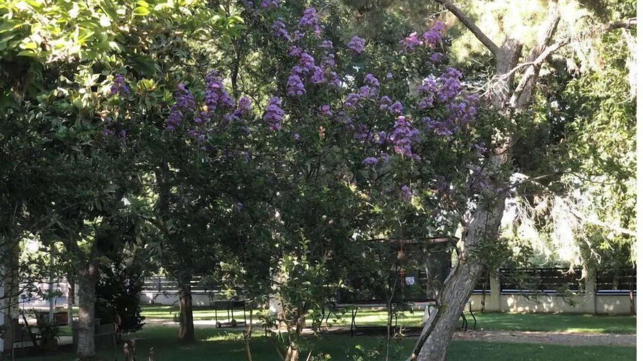 Photo of Outdoor in Rosedale