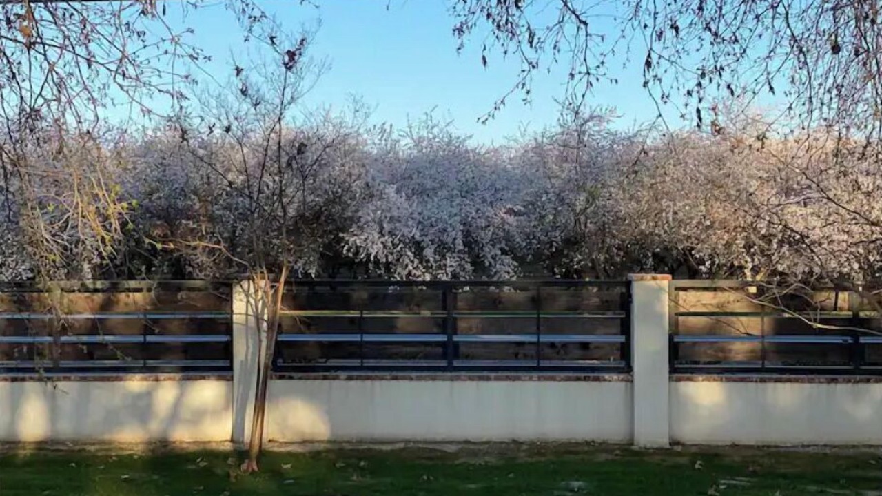 Photo of Outdoor in Rosedale