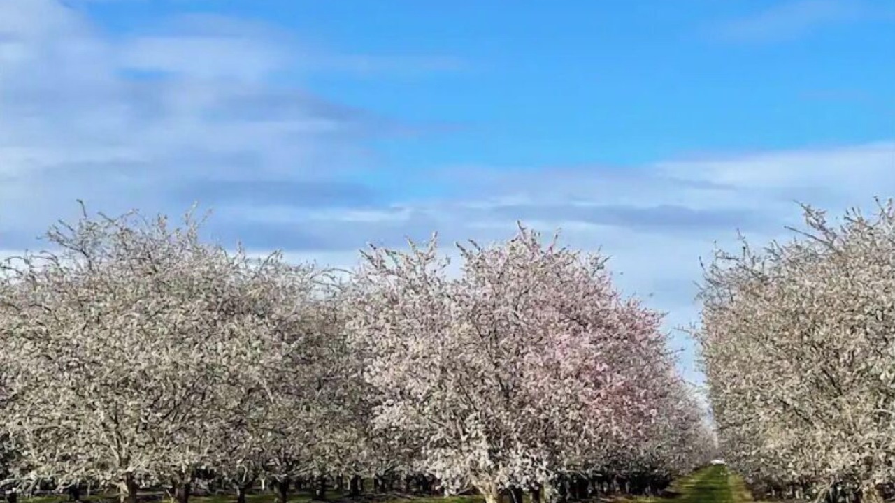 Photo of Outdoor in Rosedale