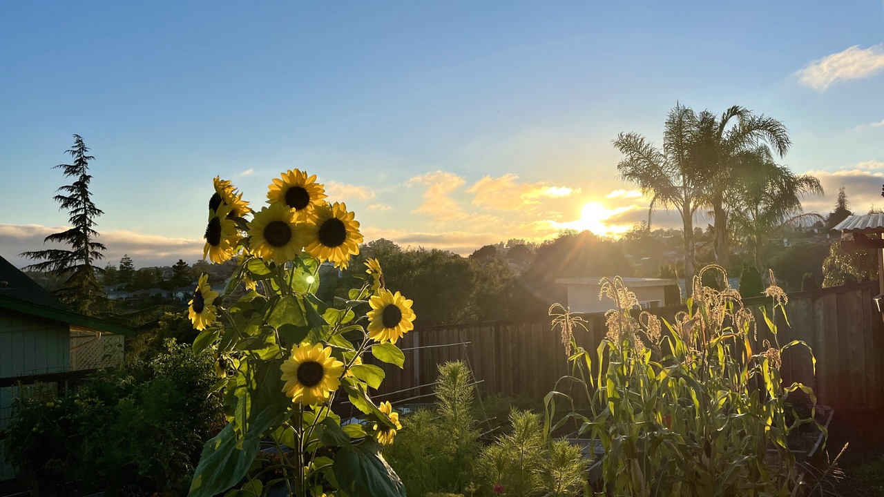 Photo of Outdoor in Castro Valley