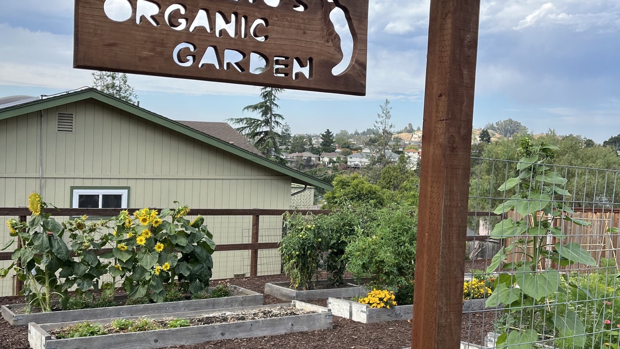 Photo of Outdoor in Castro Valley