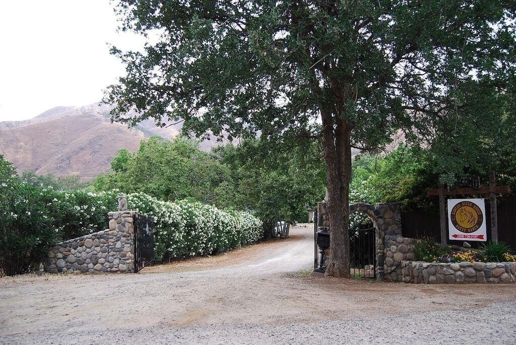 Photo of Outdoor in Three Rivers