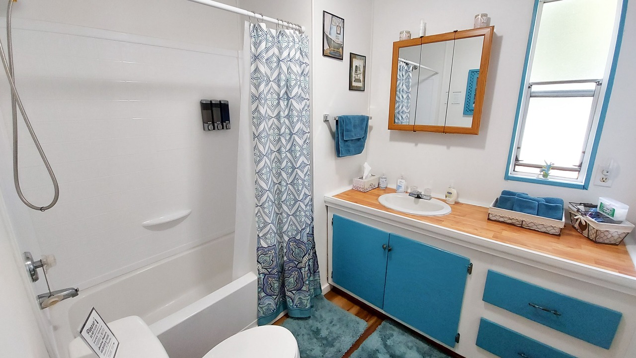 Photo of Bathroom in Squaw Valley