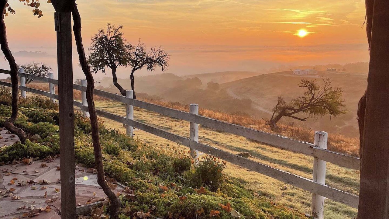 Photo of Others in Paso Robles