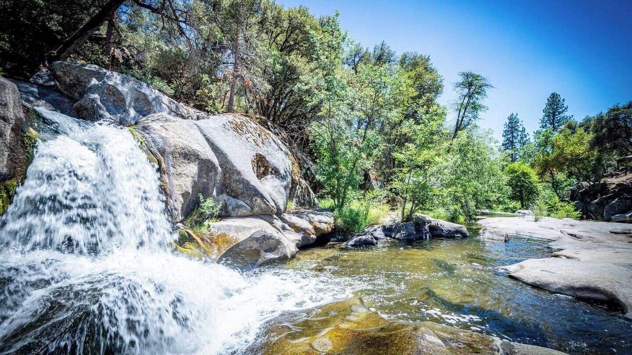 Photo of Others in Yosemite Forks