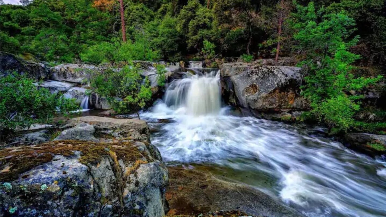 Photo of Others in Yosemite Forks
