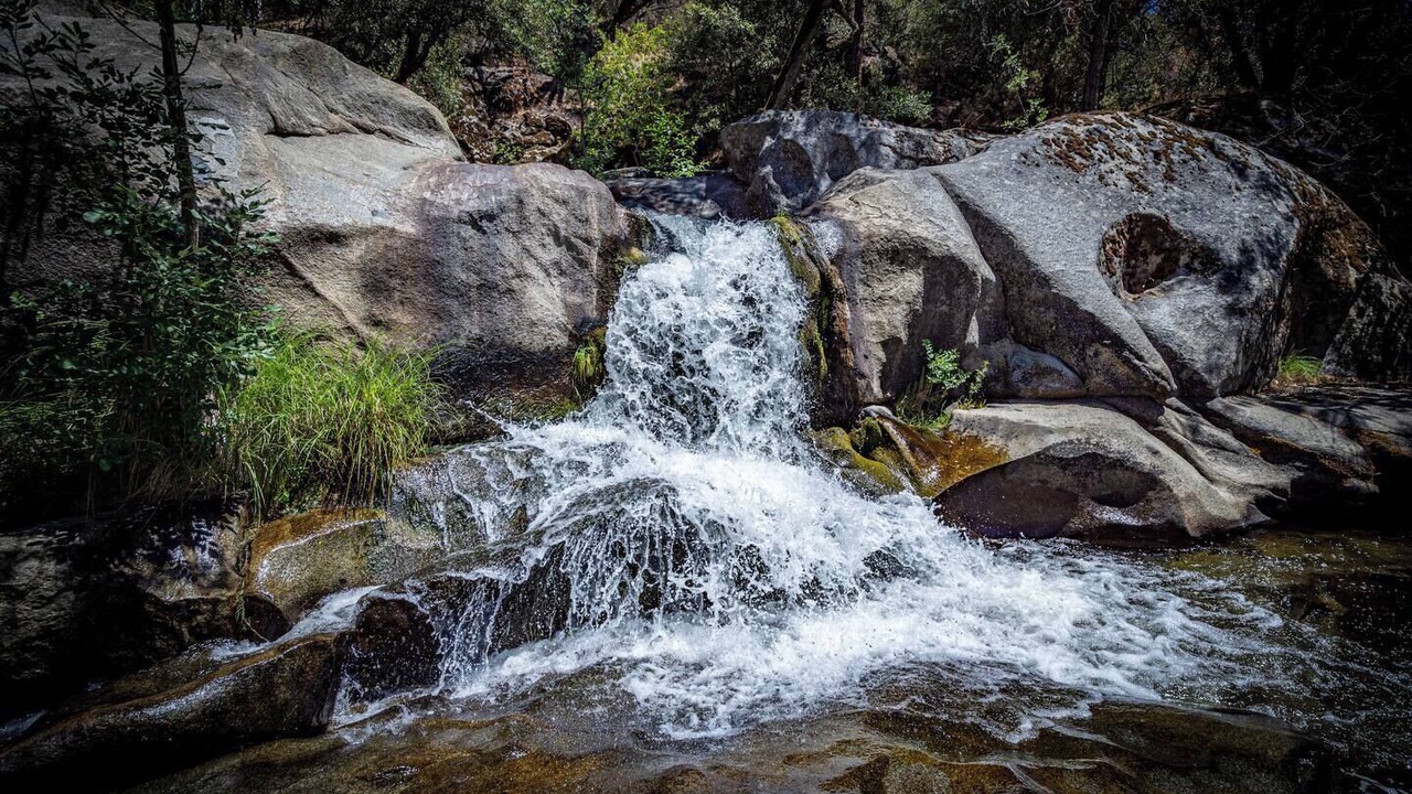 Photo of Others in Yosemite Forks