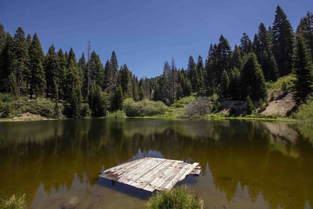 Photo of Others in Springville