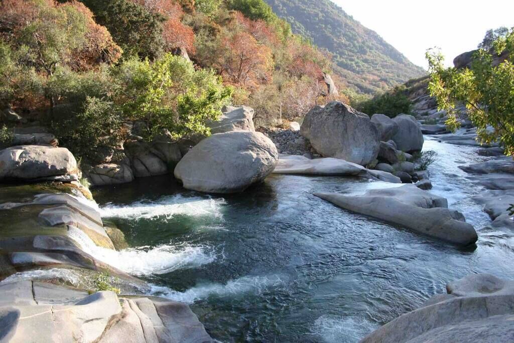 Photo of Others in Springville