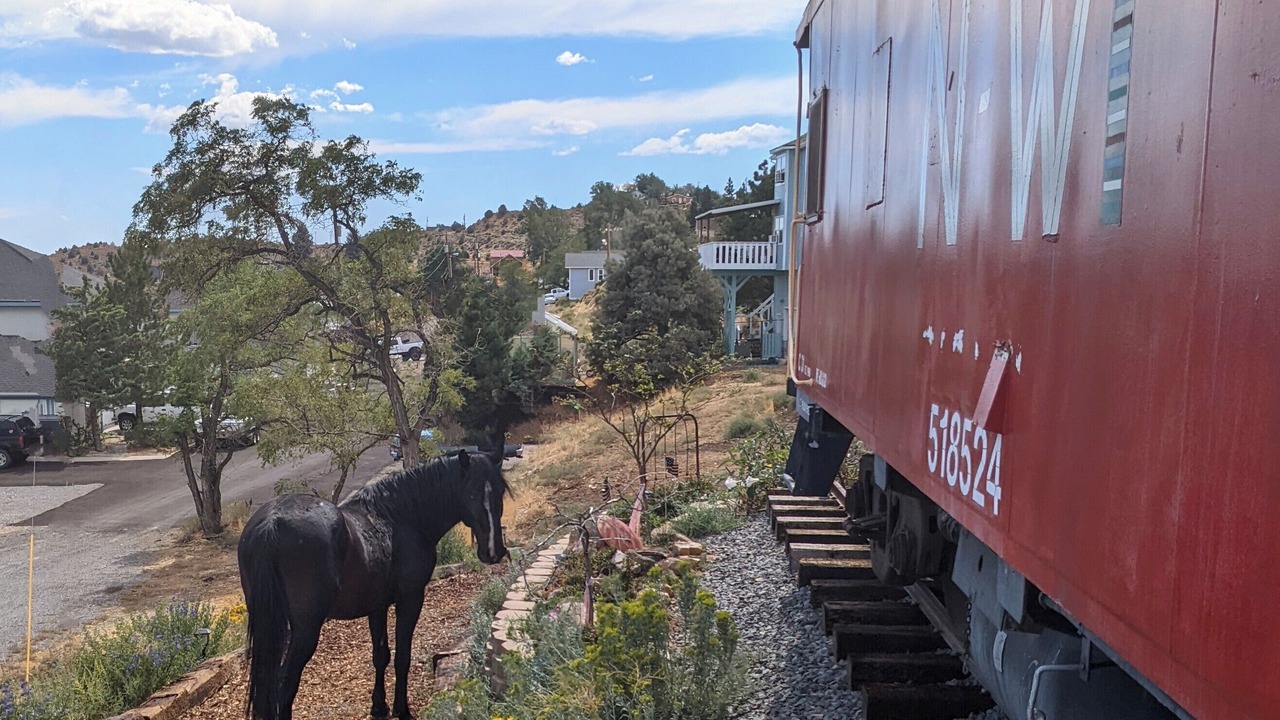 Photo of Others in Virginia City Historic District